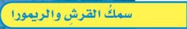 سمك القرش